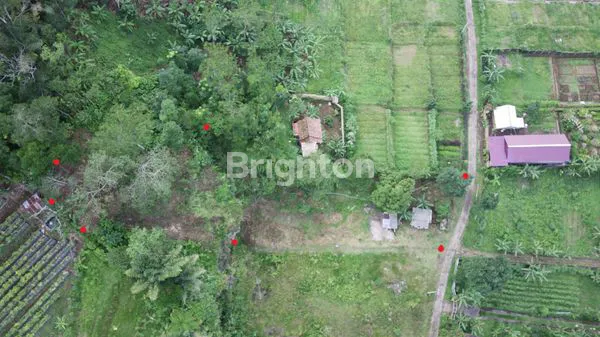 image TANAH ZONA KUNING BEDUGUL, VIEW LEMBAH, AKSES STRATEGIS (8)