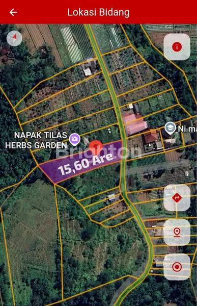 TANAH ZONA KUNING BEDUGUL, VIEW LEMBAH, AKSES STRATEGIS