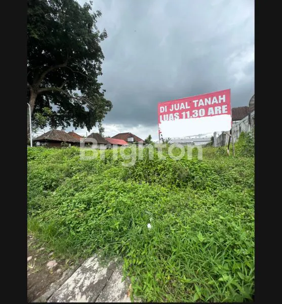 image LAHAN STRATEGIS 11,3 ARE, PINGGIR JALAN RAYA SIBANG (1)