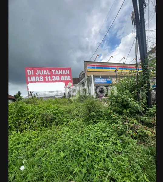 image LAHAN STRATEGIS 11,3 ARE, PINGGIR JALAN RAYA SIBANG (2)