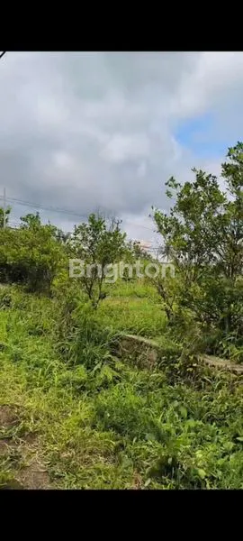 DI JUAL TANAH DI CIDAHU AREA INDUSTRI