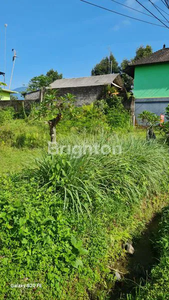 image TANAH SIAP BANGUN DI PINGGIR JALAN RAYA PENEBEL TABANAN BALI (2)