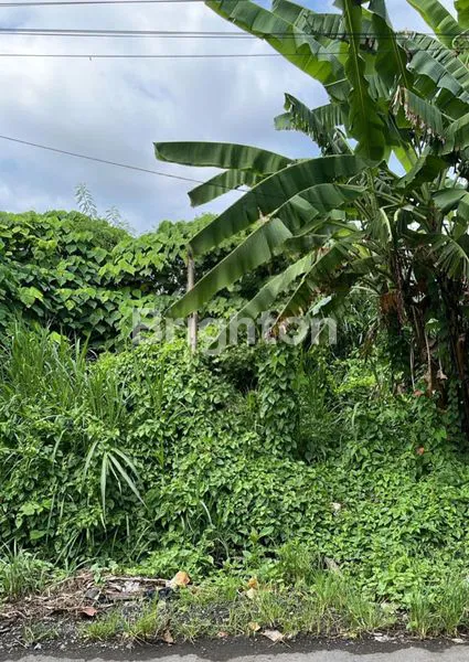 image DISEWAKAN TANAH STRATEGIS DI JL. DEWI SRI  – LEGIAN, LOKASI PREMIUM UNTUK INVESTASI MENJANJIKAN! (2)