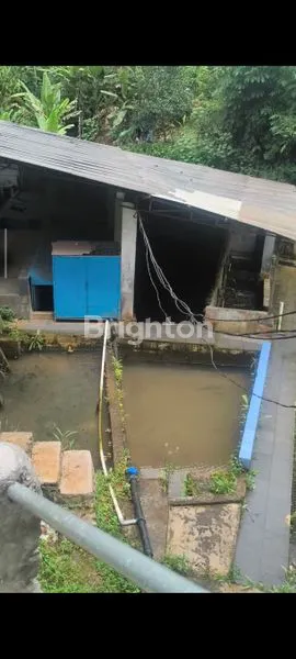 image DI JUAL TANAH DENGAN SUMBER MATA AIR MELIMPAH DAN PH TINGGI (4)