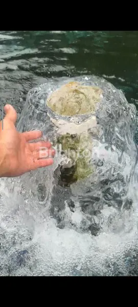 image DI JUAL TANAH DENGAN SUMBER MATA AIR MELIMPAH DAN PH TINGGI (1)