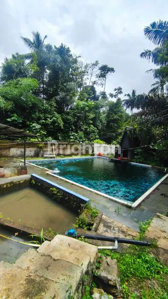 image DI JUAL TANAH DENGAN SUMBER MATA AIR MELIMPAH DAN PH TINGGI (5)
