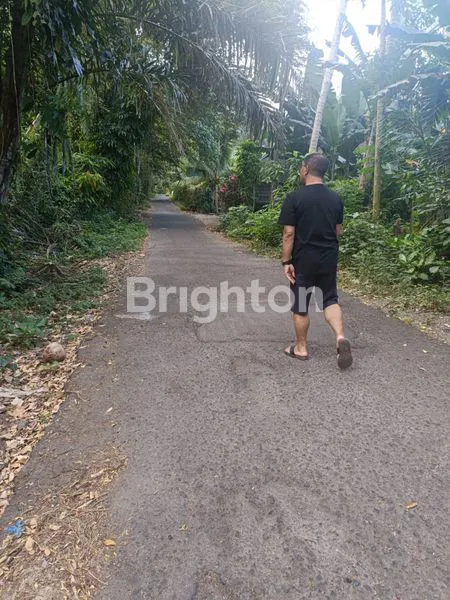 image TANAH CANDI DASA SENGKIDU (6)