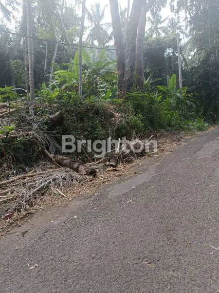 image TANAH CANDI DASA SENGKIDU (5)