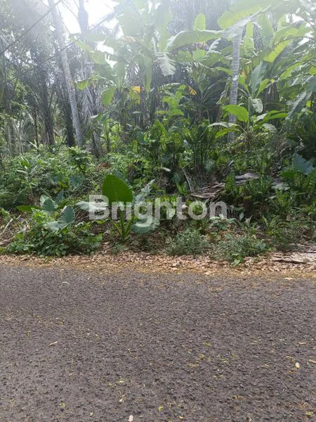 image TANAH CANDI DASA SENGKIDU (3)