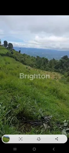 image DI JUAL LAHAN SENTUL CINJERUK (1)