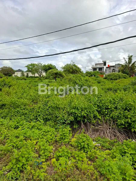 image DIJUAL TANAH DI JL GUNUNG PAYUNG PANDAWA  (7)