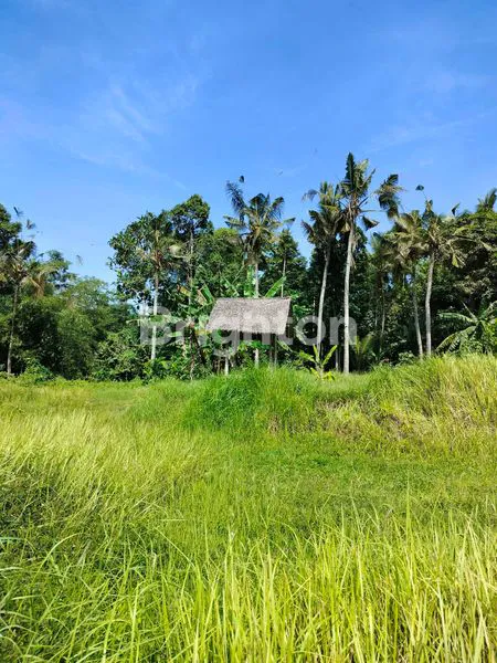 image TANAH KAVLING SHM DI DESA GLAGAH, BANYUWANGI  (1)