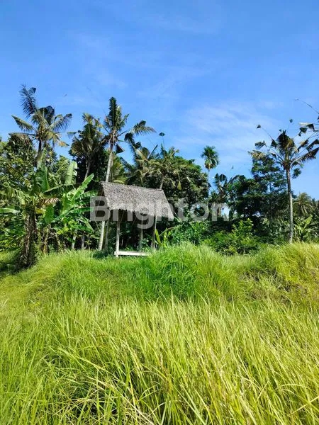 image TANAH KAVLING SHM DI DESA GLAGAH, BANYUWANGI  (3)