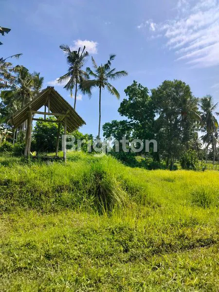 image TANAH KAVLING SHM DI DESA GLAGAH, BANYUWANGI  (2)