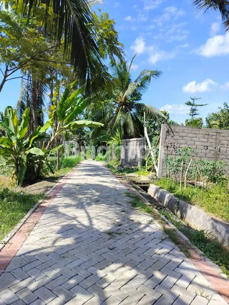 image TANAH KAVLING SHM DI DESA GLAGAH, BANYUWANGI  (5)