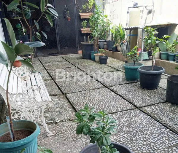 image RUMAH ANTIK (7)