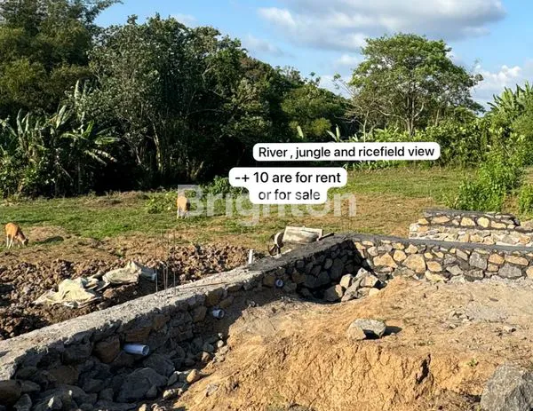 image TANAH KAVLING 10 ARE DI ANTUGAN, NYITDAH, TABANAN, BALI (2)