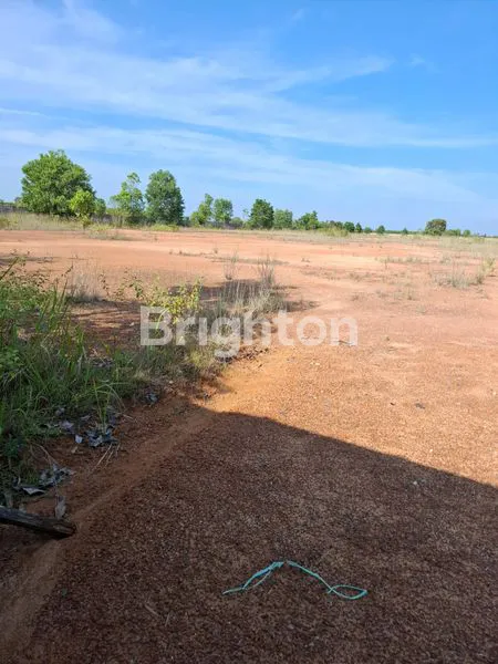 image LAHAN 40.000M² SIAP USAHA, DEKAT PINTU TOL PALEMBANG (3)