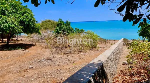 image INVESTASI TERBAIK! TANAH TEPI PANTAI NEMBERALA, ROTE - SURGA PESELANCAR DUNIA. (6)