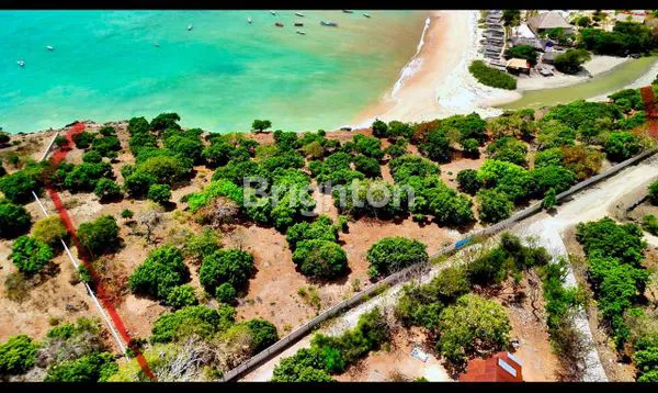 image INVESTASI TERBAIK! TANAH TEPI PANTAI NEMBERALA, ROTE - SURGA PESELANCAR DUNIA. (8)