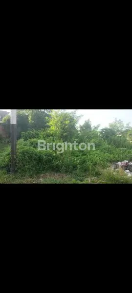 image TANAH SHM 20X20M, DEKAT EMERALD BINTARO (6)