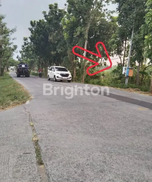image LAHAN LUAS 5 HEKTAR SHM, MOJOKERTO, AKSES JALAN RAYA (2)