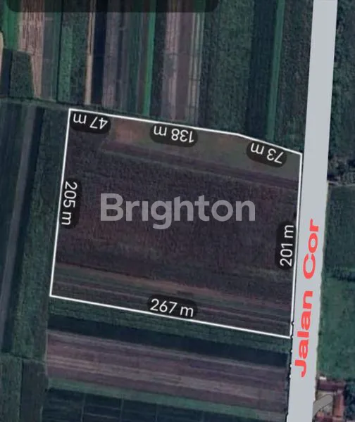 LAHAN LUAS 5 HEKTAR SHM, MOJOKERTO, AKSES JALAN RAYA