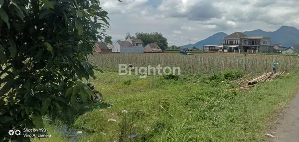 SEBIDANG TANAH  DEKAT SANTREA PUJON