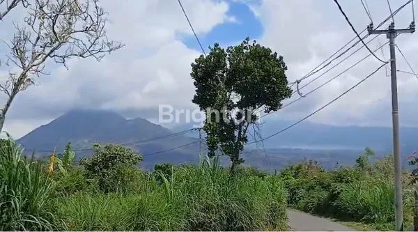 image SPEKTAKULER VIEW GUNUNG BATUR DI KINTAMANI PLOT KECIL. (2)