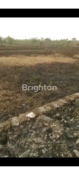 image TANAH SIAP BANGUN LT 132 M2 KEDAMEAN GRESIK STRATEGIS DEKAT PASAR DAN TOL (5)