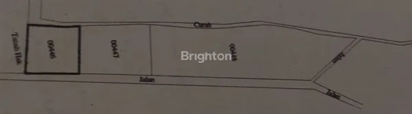 image TANAH LUAS 1550M² DI TAWANGARGO, INVESTASI STRATEGIS (3)