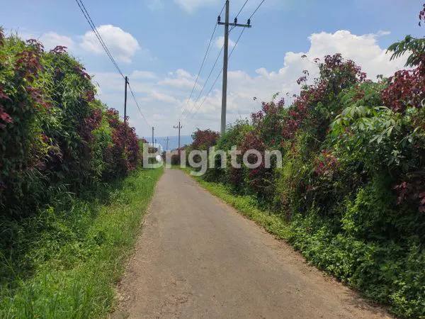 image TANAH LUAS 1550M² DI TAWANGARGO, INVESTASI STRATEGIS (1)