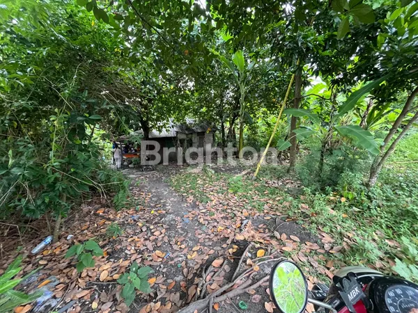 image TANAH STRATEGIS 5 ARE DI DALUNG, COCOK UNTUK INVESTASI JANGKA PANJANG (4)