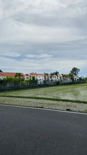 image RUKO STRATEGIS DI PANTAI SESEH, VIEW SAWAH & DEKAT VILLA (3)