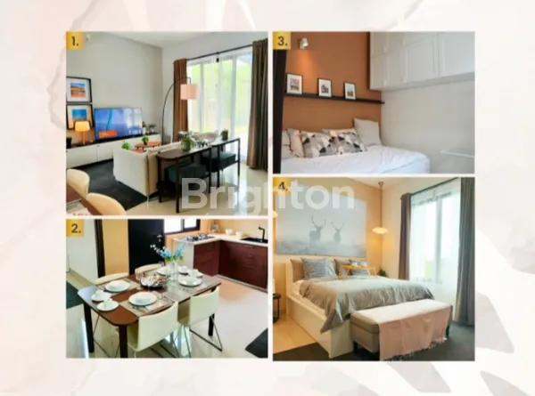 image THE ESSENCE ALAMANDA & ZEBRINA (3)