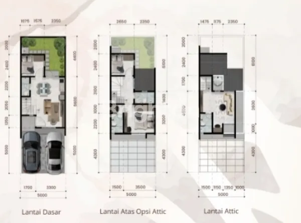 image THE ESSENCE ALAMANDA & ZEBRINA (5)