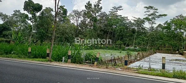 TANAH LUAS 1.700M² DI KARANG ANYAR MALANG