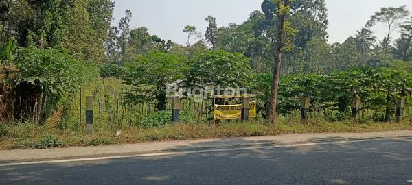 image TANAH LUAS 1.700M² DI KARANG ANYAR MALANG (2)