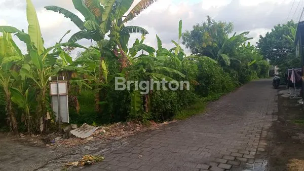 DISEWAKAN 5 TAHUN TANAH STRATEGIS DI PEGUYANGAN