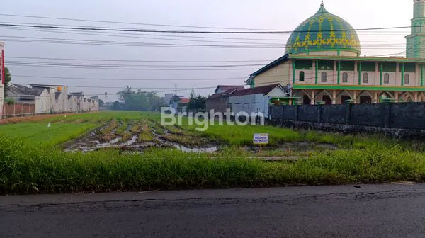 image TANAH LUAS 7000M² DEKAT MALL LIPPO (1)