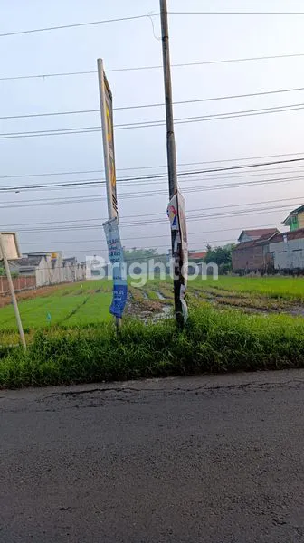 image TANAH LUAS 7000M² DEKAT MALL LIPPO (2)