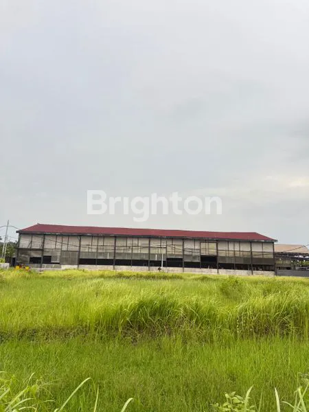 image TANAH KAWASAN VILLA ELITE VIEW PERSAWAHAN DI BERAWA. ZONA PINK, AKSES TANAH PRIVATE, LINGKUNGAN NYAMAN DAN ASRI\N (5)