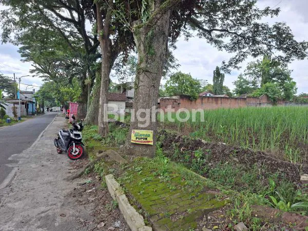 image TANAH DIJUAL,  25 METER DARI POROS PROVINSI KOTA MALANG (1)