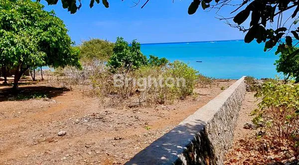 image TANAH PANTAI NEMBERALA ROTE NTT (5)