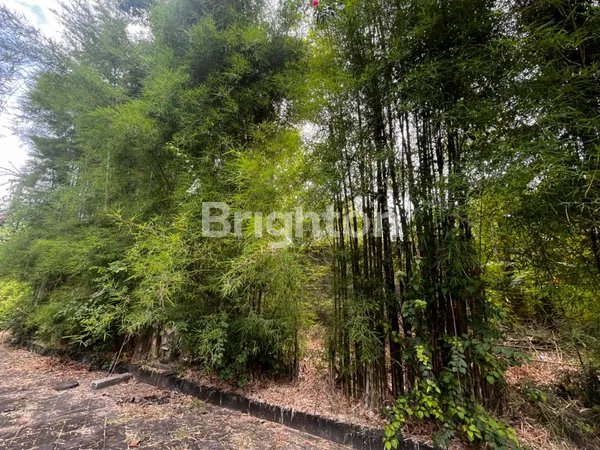 image KAVLING AREA MUMBUL NUSA DUA  (2)