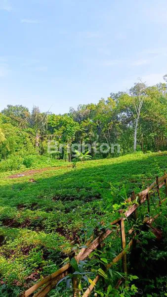 DIJUAL TANAH LUAS STRATEGIS DI CIMANGGUNG SUMEDANG – UDARA SEJUK & LINGKUNGAN NYAMAN