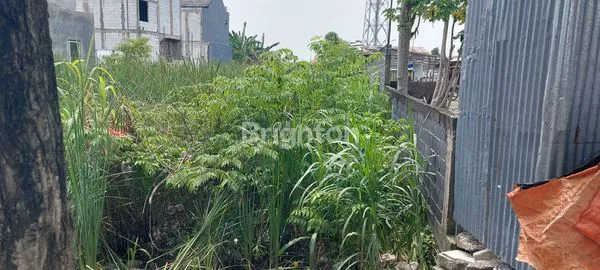 image TANAH STRATEGIS 900M² DI JL RAYA SUCI, GRESIK (4)