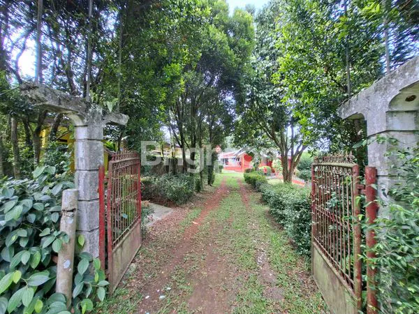 DI JUAL TANAH LUAS BONUS RUMAH SANGAT COCOK UNTUK  VILLA DAN TEMPAT USAHA KOLAM IKAN ATAUPUN USAHA  AIR MINUM AQUA.MATA AIR TANAH MELIMPAH