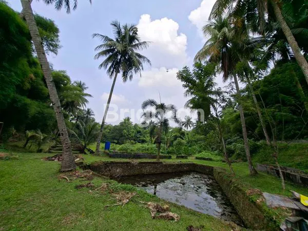 image DI JUAL TANAH LUAS BONUS RUMAH SANGAT COCOK UNTUK  VILLA DAN TEMPAT USAHA KOLAM IKAN ATAUPUN USAHA  AIR MINUM AQUA.MATA AIR TANAH MELIMPAH (4)