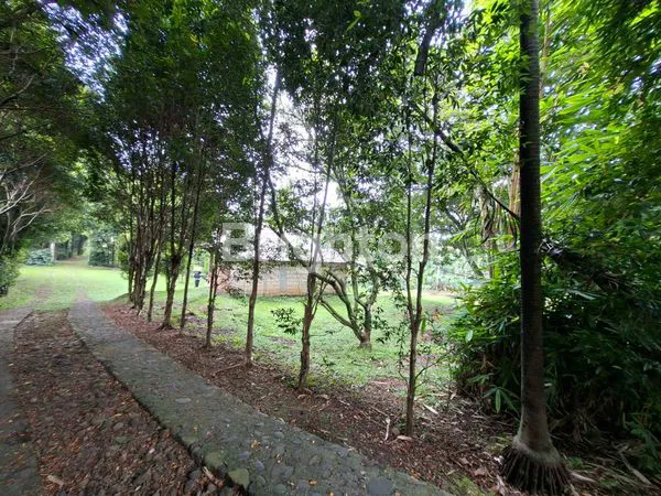 image DI JUAL TANAH LUAS BONUS RUMAH SANGAT COCOK UNTUK  VILLA DAN TEMPAT USAHA KOLAM IKAN ATAUPUN USAHA  AIR MINUM AQUA.MATA AIR TANAH MELIMPAH (7)